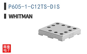 P605-1-C12TS-DIS ͼƬ